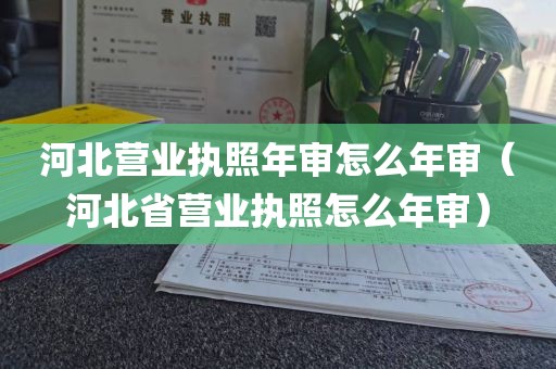 河北营业执照年审怎么年审（河北省营业执照怎么年审）