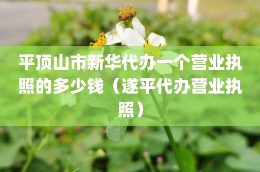平顶山市新华代办一个营业执照的多少钱(遂平代办营业执照)