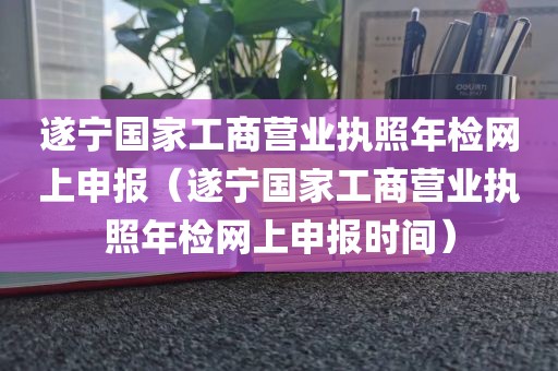 遂宁国家工商营业执照年检网上申报（遂宁国家工商营业执照年检网上申报时间）