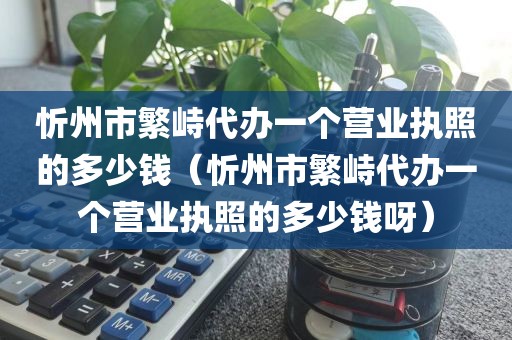 忻州市繁峙代办一个营业执照的多少钱（忻州市繁峙代办一个营业执照的多少钱呀）