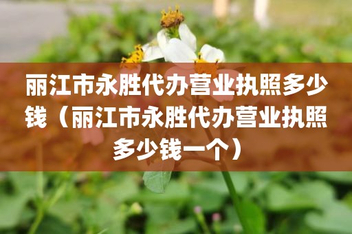 丽江市永胜代办营业执照多少钱（丽江市永胜代办营业执照多少钱一个）