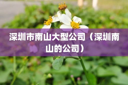 深圳市南山大型公司（深圳南山的公司）