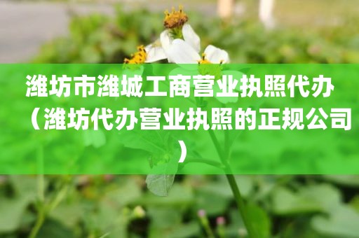 潍坊市潍城工商营业执照代办（潍坊代办营业执照的正规公司）