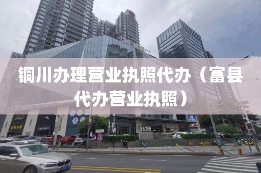 铜川办理营业执照代办(富县代办营业执照)