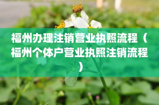 福州办理注销营业执照流程（福州个体户营业执照注销流程）