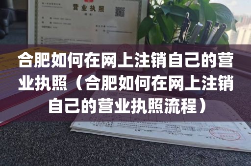 合肥如何在网上注销自己的营业执照（合肥如何在网上注销自己的营业执照流程）