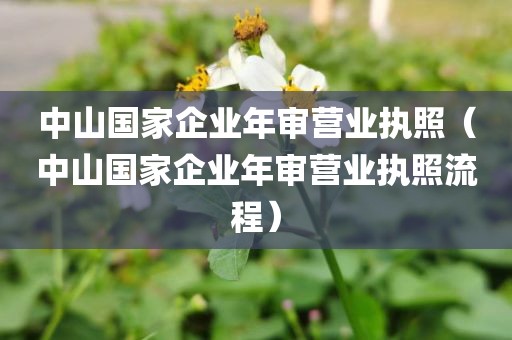 中山国家企业年审营业执照(中山国家企业年审营业执照流程)