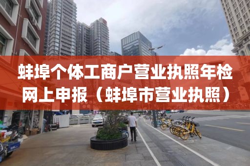 蚌埠个体工商户营业执照年检网上申报（蚌埠市营业执照）