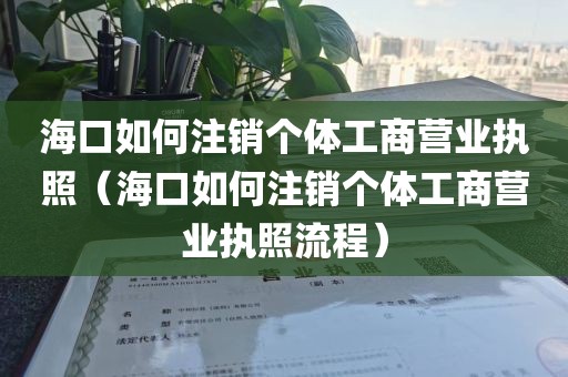 海口如何注销个体工商营业执照（海口如何注销个体工商营业执照流程）