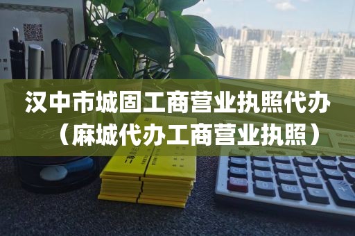 汉中市城固工商营业执照代办(麻城代办工商营业执照)