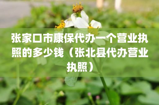 张家口市康保代办一个营业执照的多少钱（张北县代办营业执照）