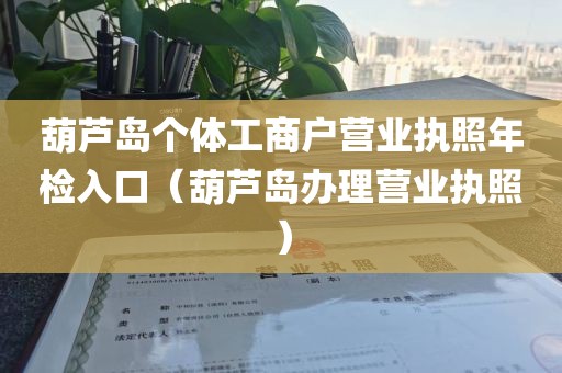 葫芦岛个体工商户营业执照年检入口（葫芦岛办理营业执照）