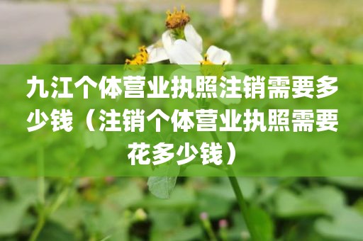 九江个体营业执照注销需要多少钱（注销个体营业执照需要花多少钱）