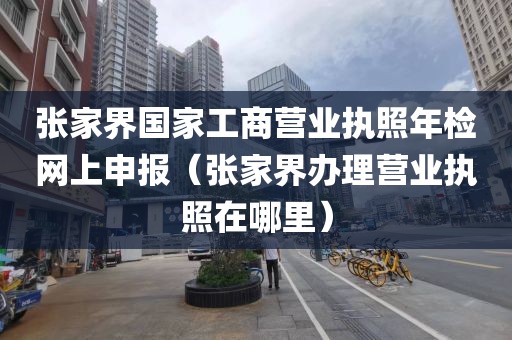 张家界国家工商营业执照年检网上申报（张家界办理营业执照在哪里）