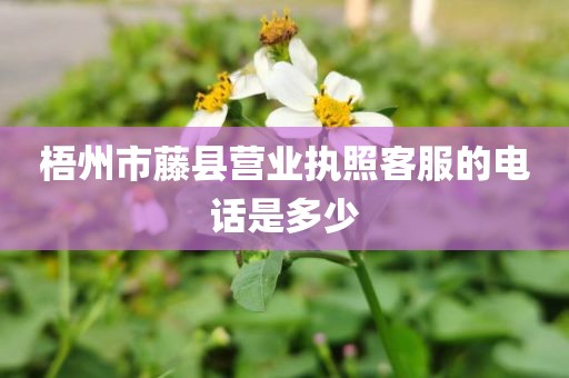 梧州市藤县营业执照客服的电话是多少