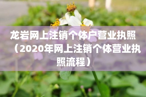 龙岩网上注销个体户营业执照（2020年网上注销个体营业执照流程）