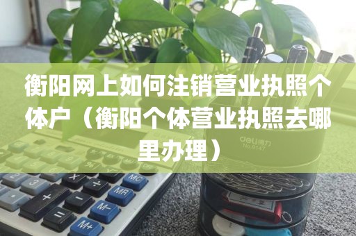 衡阳网上如何注销营业执照个体户（衡阳个体营业执照去哪里办理）