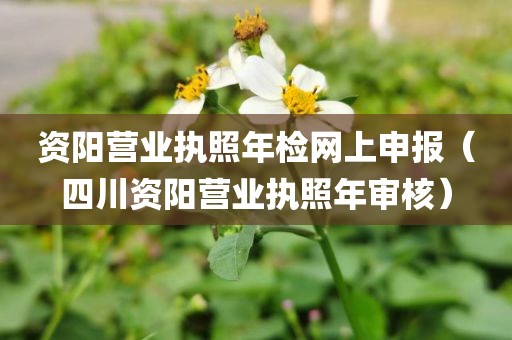 资阳营业执照年检网上申报(四川资阳营业执照年审核)