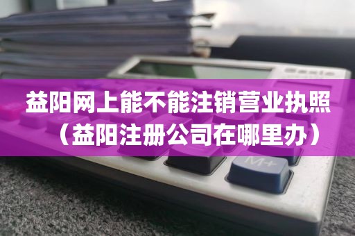 益阳网上能不能注销营业执照(益阳注册公司在哪里办)