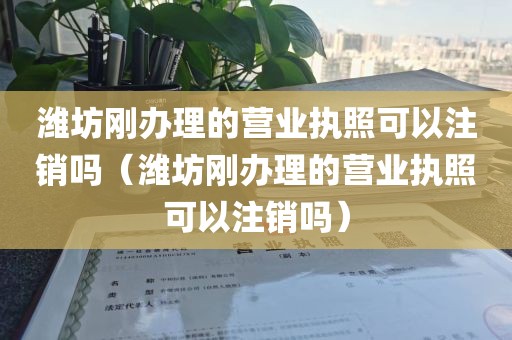 潍坊刚办理的营业执照可以注销吗（潍坊刚办理的营业执照可以注销吗）