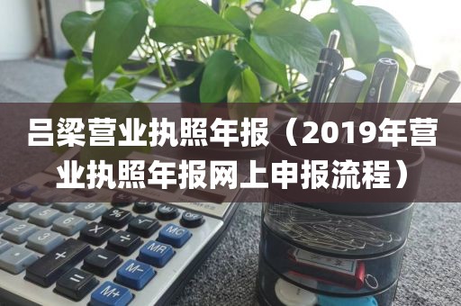 吕梁营业执照年报(2019年营业执照年报网上申报流程)