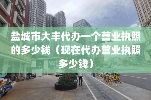 盐城市大丰代办一个营业执照的多少钱（现在代办营业执照多少钱）