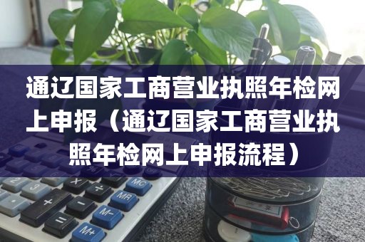 通辽国家工商营业执照年检网上申报（通辽国家工商营业执照年检网上申报流程）
