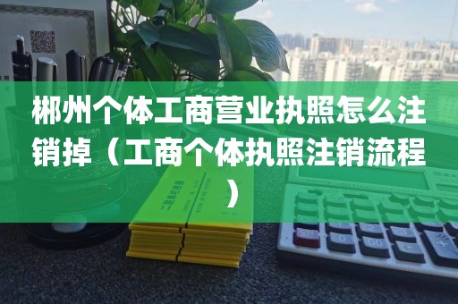 郴州个体工商营业执照怎么注销掉（工商个体执照注销流程）
