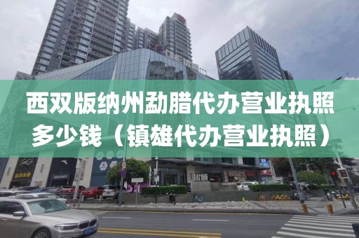 西双版纳州勐腊代办营业执照多少钱（镇雄代办营业执照）