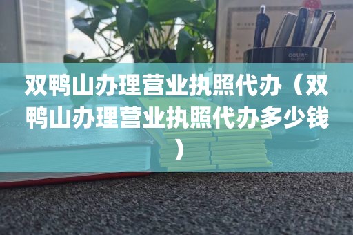 双鸭山办理营业执照代办（双鸭山办理营业执照代办多少钱）