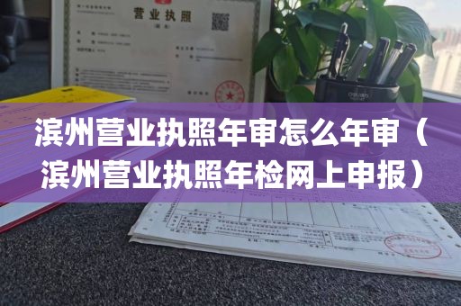 滨州营业执照年审怎么年审(滨州营业执照年检网上申报)