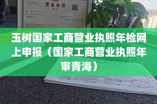 玉树国家工商营业执照年检网上申报（国家工商营业执照年审青海）