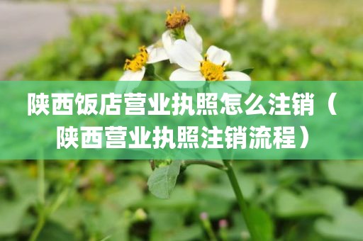 陕西饭店营业执照怎么注销(陕西营业执照注销流程)