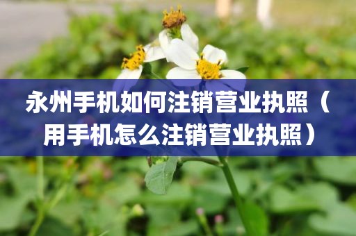 永州手机如何注销营业执照（用手机怎么注销营业执照）