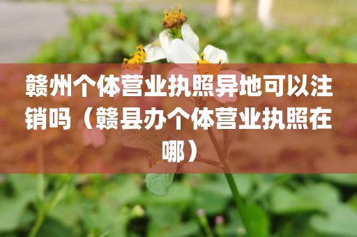 赣州个体营业执照异地可以注销吗（赣县办个体营业执照在哪）