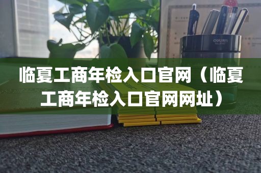临夏工商年检入口官网（临夏工商年检入口官网网址）