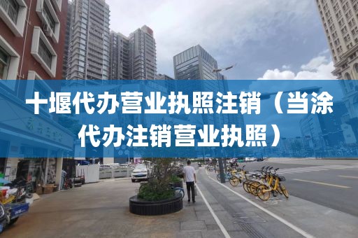 十堰代办营业执照注销（当涂代办注销营业执照）
