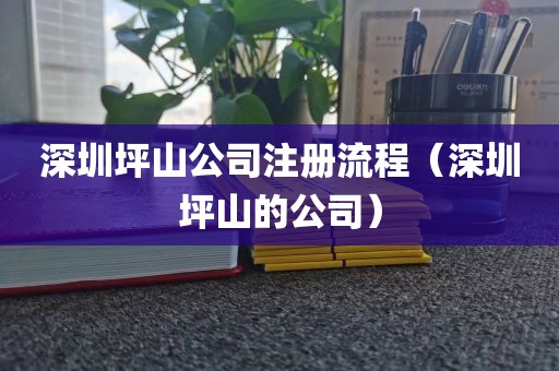 深圳坪山公司注册流程（深圳坪山的公司）