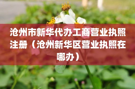 沧州市新华代办工商营业执照注册（沧州新华区营业执照在哪办）