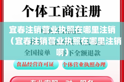 宜春注销营业执照在哪里注销（宜春注销营业执照在哪里注销啊）
