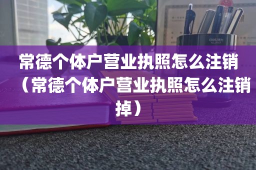 常德个体户营业执照怎么注销（常德个体户营业执照怎么注销掉）