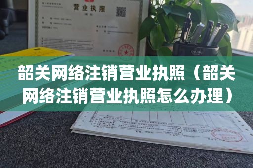韶关网络注销营业执照（韶关网络注销营业执照怎么办理）