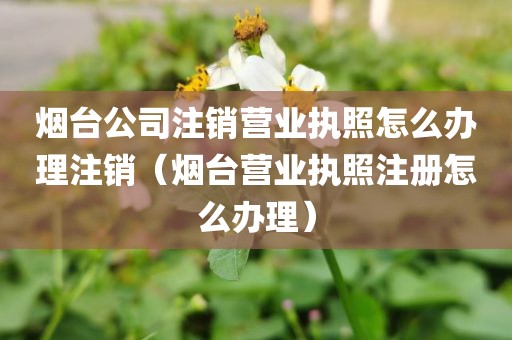 烟台公司注销营业执照怎么办理注销（烟台营业执照注册怎么办理）
