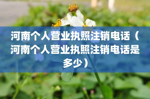 河南个人营业执照注销电话(河南个人营业执照注销电话是多少)