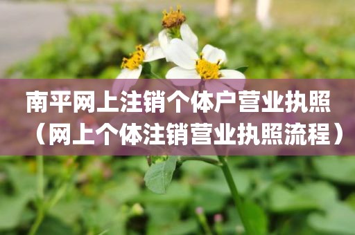 南平网上注销个体户营业执照（网上个体注销营业执照流程）