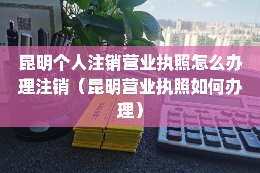 昆明个人注销营业执照怎么办理注销（昆明营业执照如何办理）