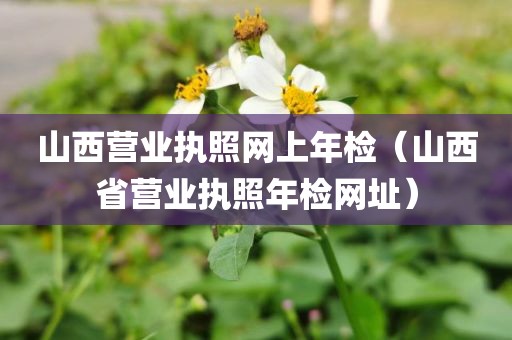 山西营业执照网上年检（山西省营业执照年检网址）