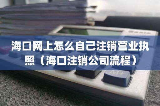 海口网上怎么自己注销营业执照（海口注销公司流程）