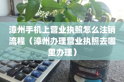 漳州手机上营业执照怎么注销流程（漳州办理营业执照去哪里办理）