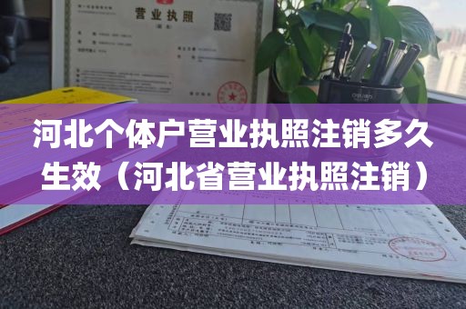 河北个体户营业执照注销多久生效（河北省营业执照注销）
